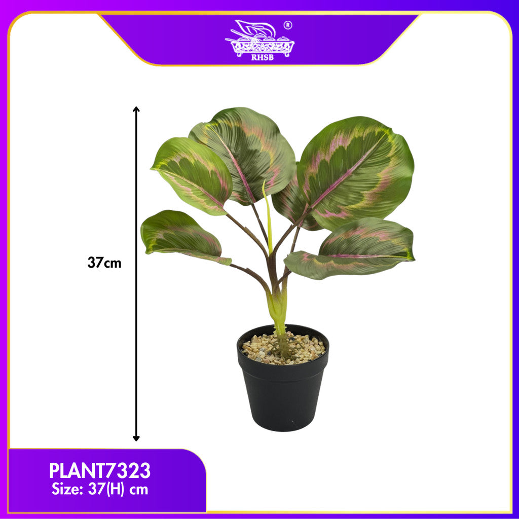 ARTIFICIAL CALATHEAS PLANT / BONSAI / BONZAI / HOME DECOR / BUNGA HIASAN / DECOR RUMAH / PLANT7322-7323