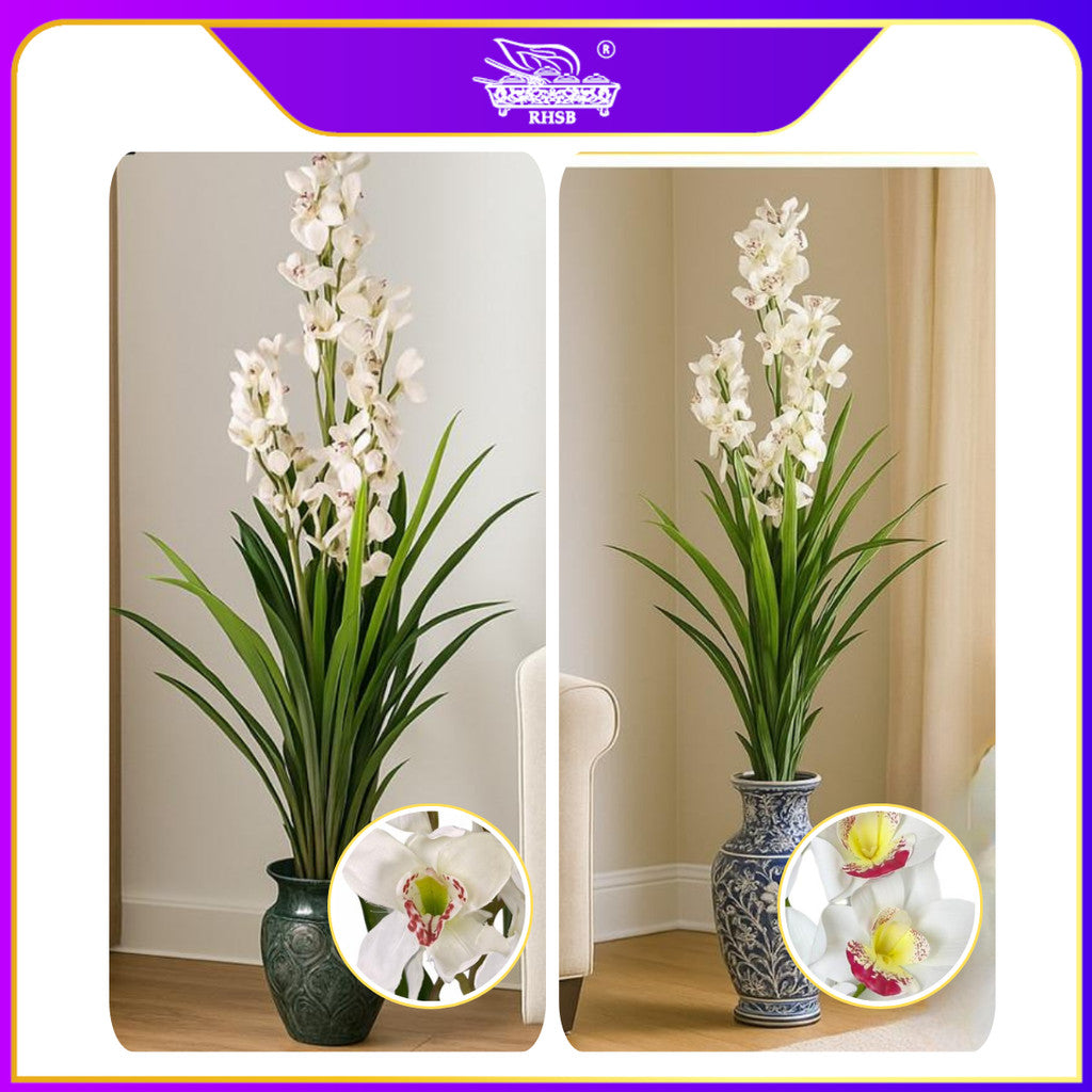[1 PC] 170CM Artificial Orchid Plant / Pokok Orkid / Bunga Orkid Hiasan Rumah / Pokok Hiasan PLANT7335