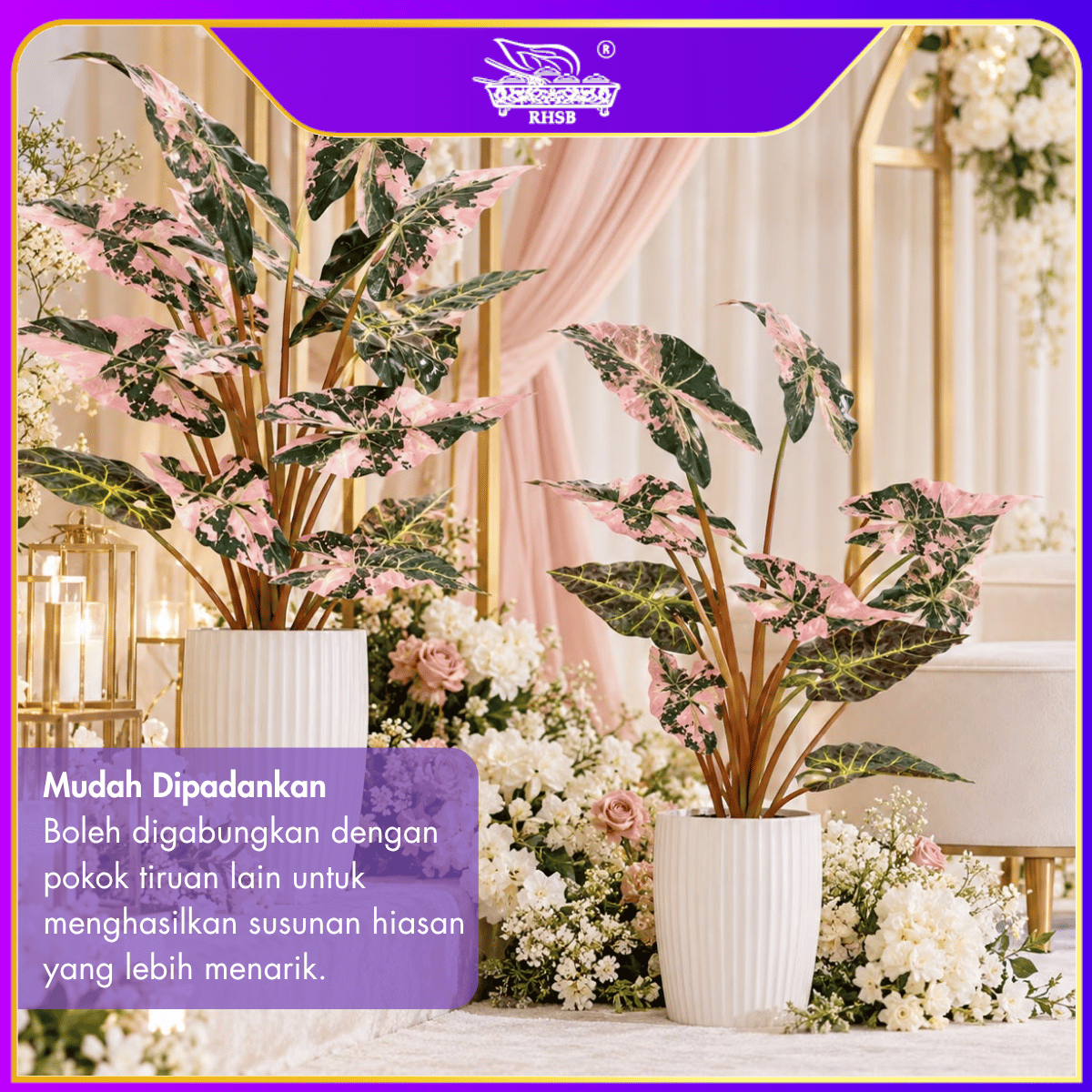 [1PC] 80CM Artificial Caladium Plant with Pot/Pokok Keladi Tiruan/Pokok Hiasan Rumah/Premium Artificial Plant Decoration PLANT4563-4567