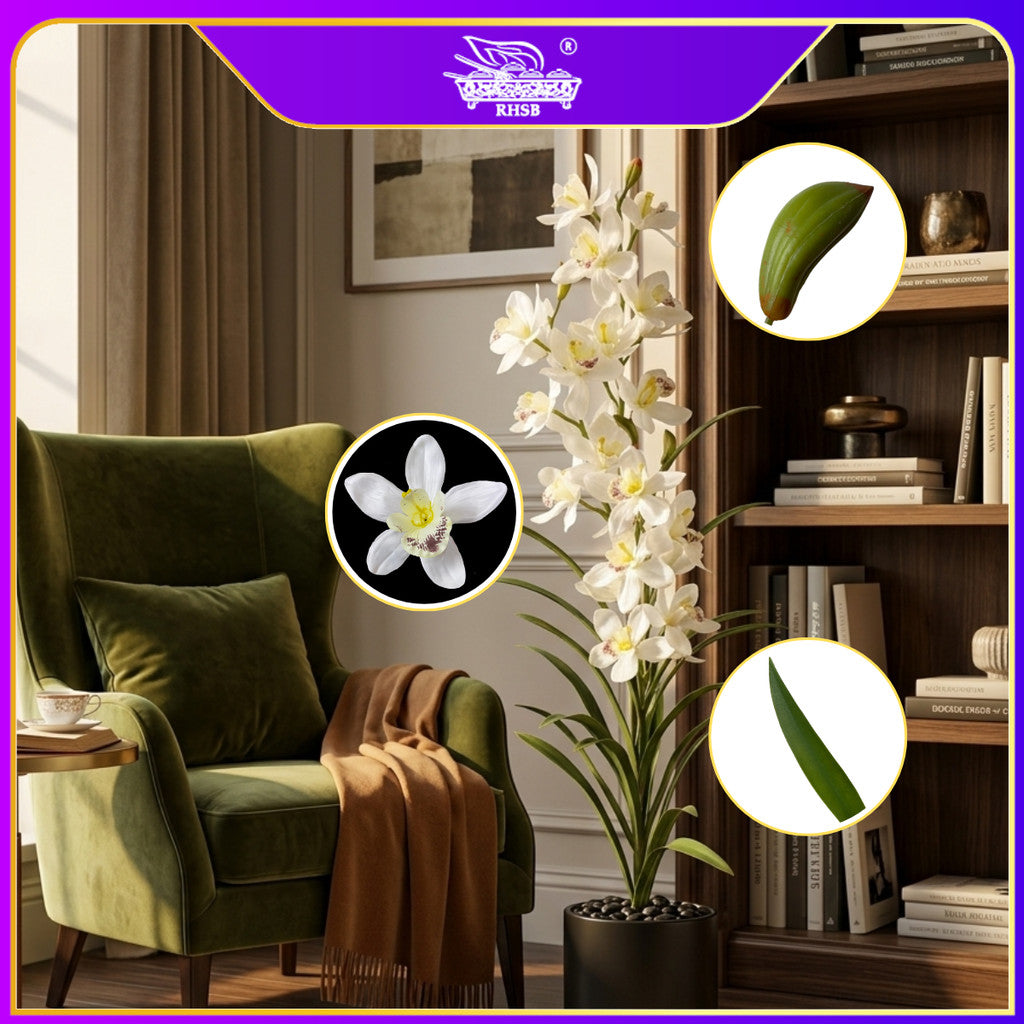 [1 PC] 170CM Artificial Orchid Plant / Pokok Orkid / Bunga Orkid Hiasan Rumah / Pokok Hiasan PLANT7335