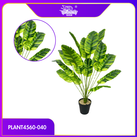PLANT4560-040
