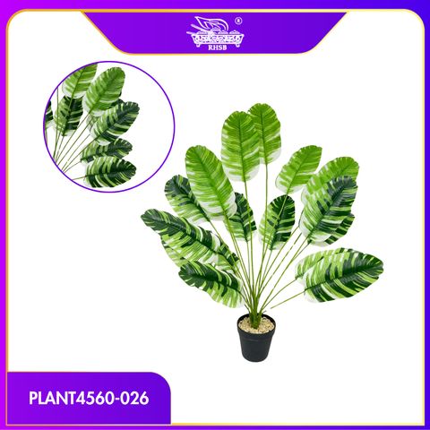 PLANT4560-026