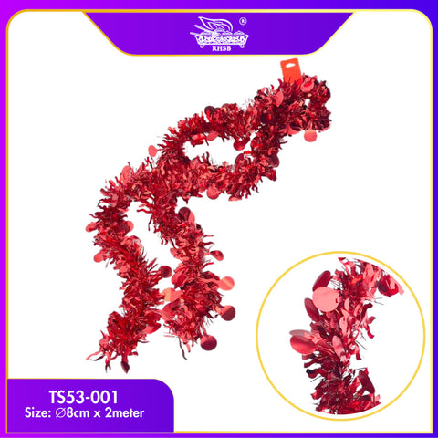 TS53-001