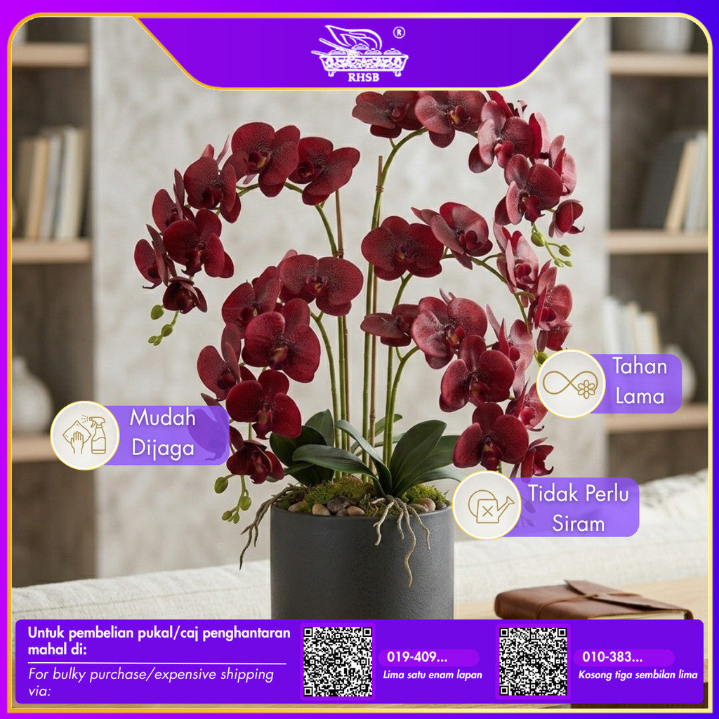 [1 PC] 9/7 Heads Artificial Orchid Latex / Bunga Orkid Hiasan / Orkid Latex / Orkid / Orchid / Bunga Hiasan