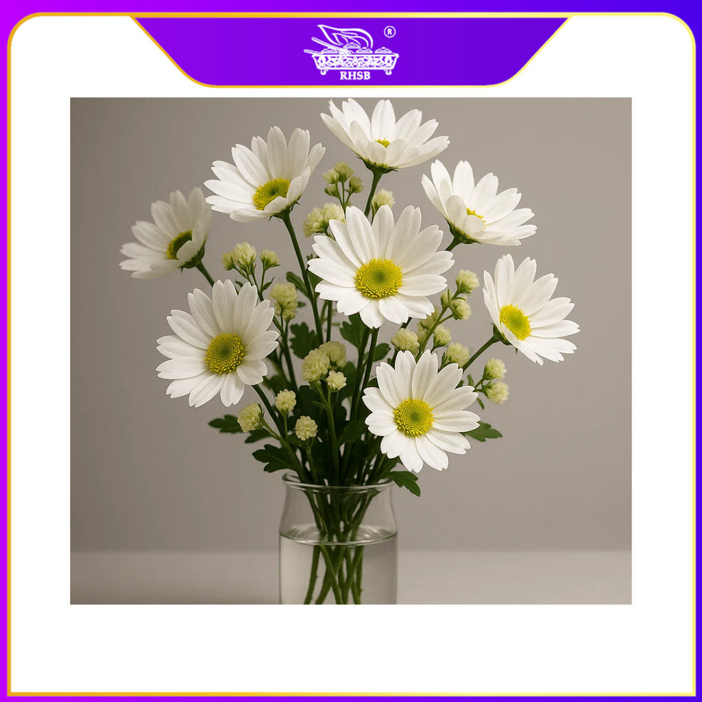 [1 PC] ARTIFICIAL DAISY FLOWER/ BUNGA HIASAN/ WEDDING DECOR/ HANTARAN DECORATION/ BOUQUET FLOWER/ HIASAN RUMAH/ AF1930