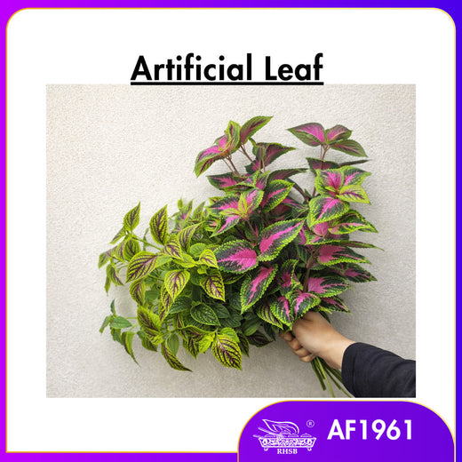[1PC] Premium Artificial Coleus Plant Decor | Pokok Ati-Ati Tiruan Untuk Home & Office Decoration AF1961