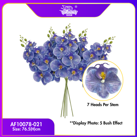 021 LT VIOLET