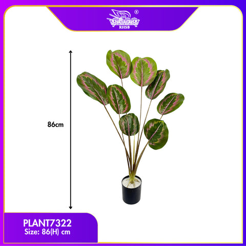 PLANT7322 [1 PC]