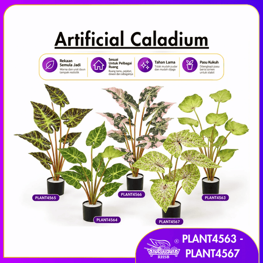 [1PC] 80CM Artificial Caladium Plant with Pot/Pokok Keladi Tiruan/Pokok Hiasan Rumah/Premium Artificial Plant Decoration PLANT4563-4567