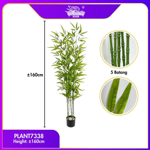 PLANT7338
