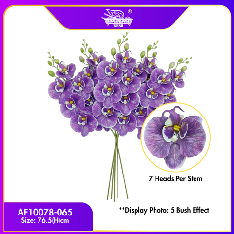 065 PURPLE