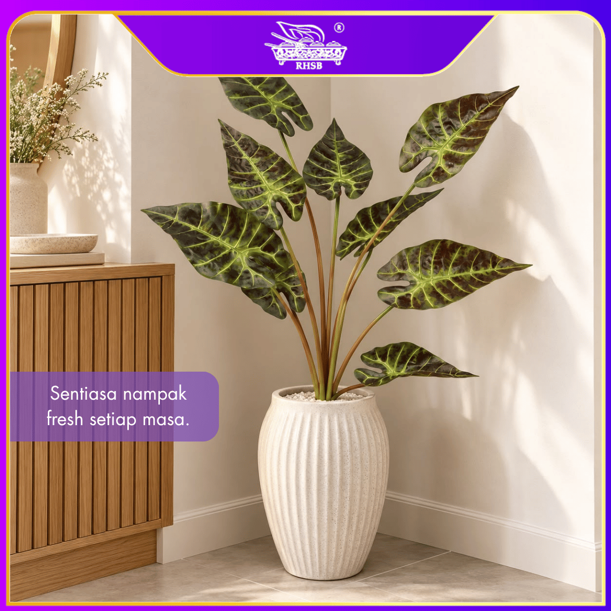 [1PC] 80CM Artificial Caladium Plant with Pot/Pokok Keladi Tiruan/Pokok Hiasan Rumah/Premium Artificial Plant Decoration PLANT4563-4567