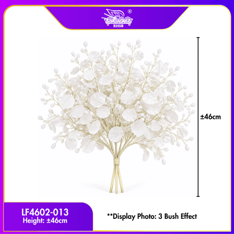 013-WHITE
