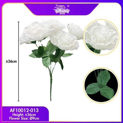 013-WHITE