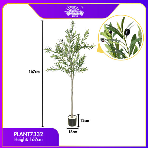 PLANT7332