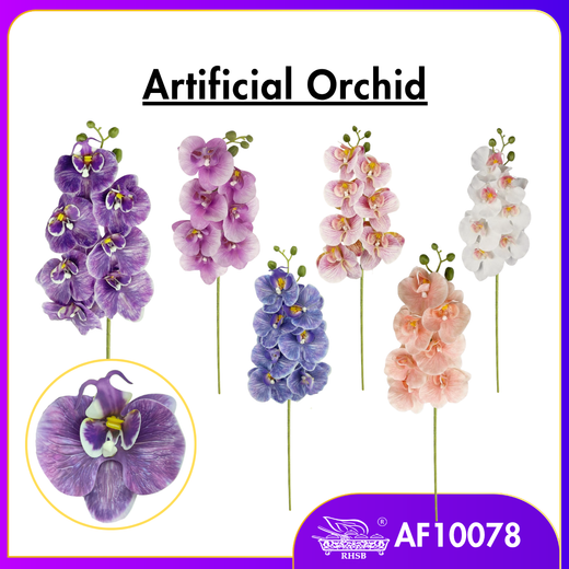 [1PC] Artificial Butterfly Orchid | Bunga Orkid 3D AF10078