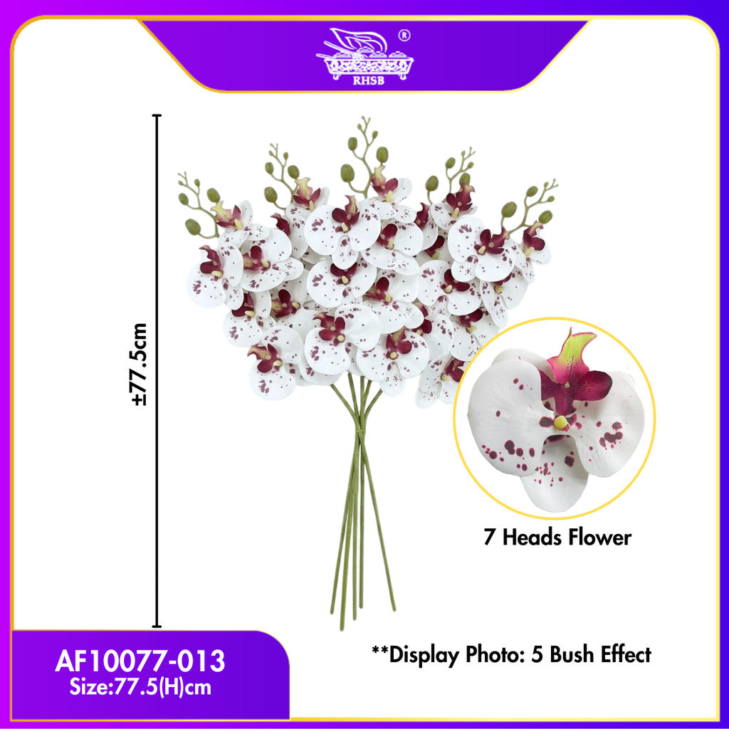 [1 PC] 9/7 Heads Artificial Orchid Latex / Bunga Orkid Hiasan / Orkid Latex / Orkid / Orchid / Bunga Hiasan