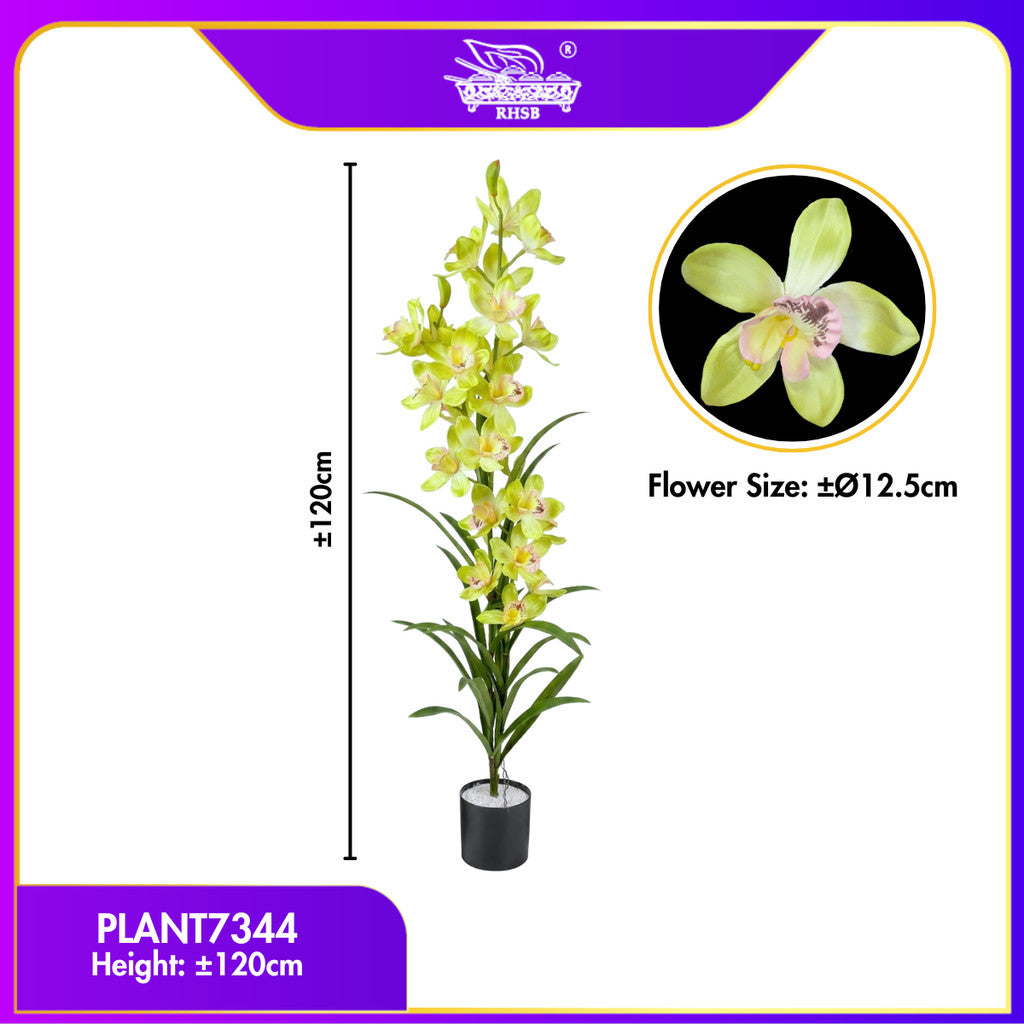 [1 PC] 170CM Artificial Orchid Plant / Pokok Orkid / Bunga Orkid Hiasan Rumah / Pokok Hiasan PLANT7335