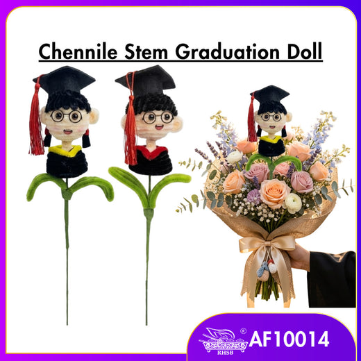 [1PC] Patung Convo Kawat Bulu 34CM | Handmade Graduation Doll Lelaki & Perempuan Aesthetic Gift AF10014